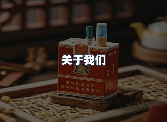 关于我们